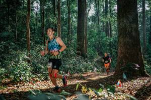 BIB: 
                            <button type="button" onclick="openModal(26082936)" class="btn btn-primary btn-sm float-right btn-popup" data-toggle="modal" data-target=".modal-high-quality">
                        <i class="fas fa-shopping-cart"></i> Add to Cart
                    </button>
                                            <button type="button" onclick="isThisMe(26082936, true)" class="btn btn-success btn-sm float-right btn-popup btn-isme hidden" data-toggle="tooltip" data-placement="bottom" title="นี่คือรูปของคุณใช่ไหม คลิกที่นี่เพื่อเอาเข้าอัลบั้ม">
                        <i class="fas fa-plus"></i> Add to album
                    </button>
                    <button type="button" onclick="isThisMe(26082936, false)" class="btn btn-warning btn-sm float-right btn-popup btn-isnotme hidden">
                        <i class="fas fa-ban"></i> Remove from album
                    </button>